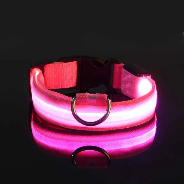 Flashing Glow Pet Collar