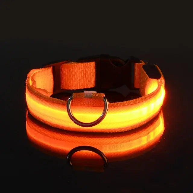 Flashing Glow Pet Collar