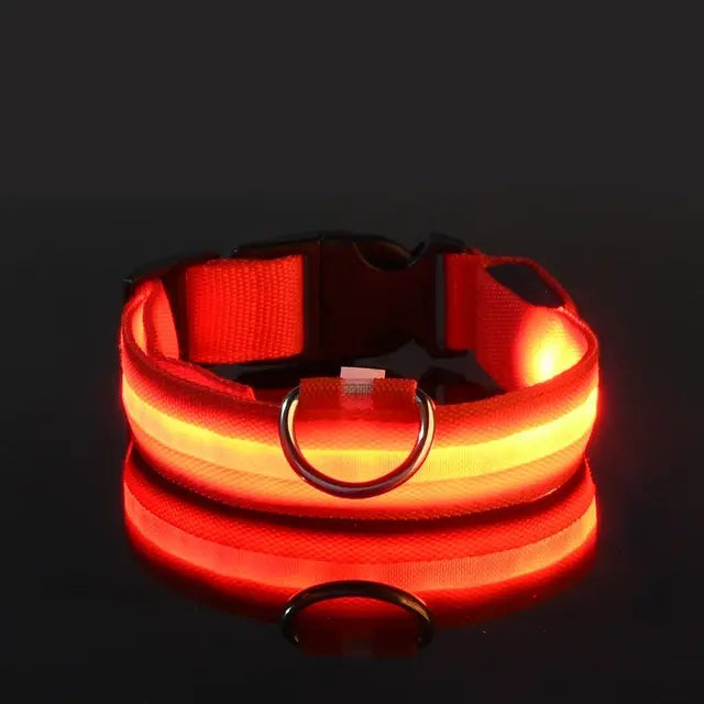 Flashing Glow Pet Collar