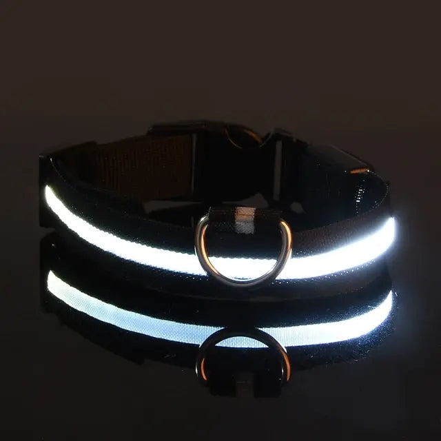 Flashing Glow Pet Collar