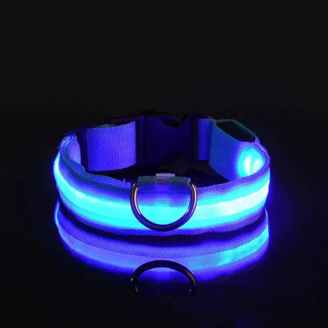 Flashing Glow Pet Collar