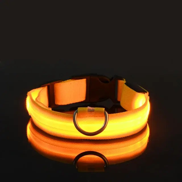 Flashing Glow Pet Collar