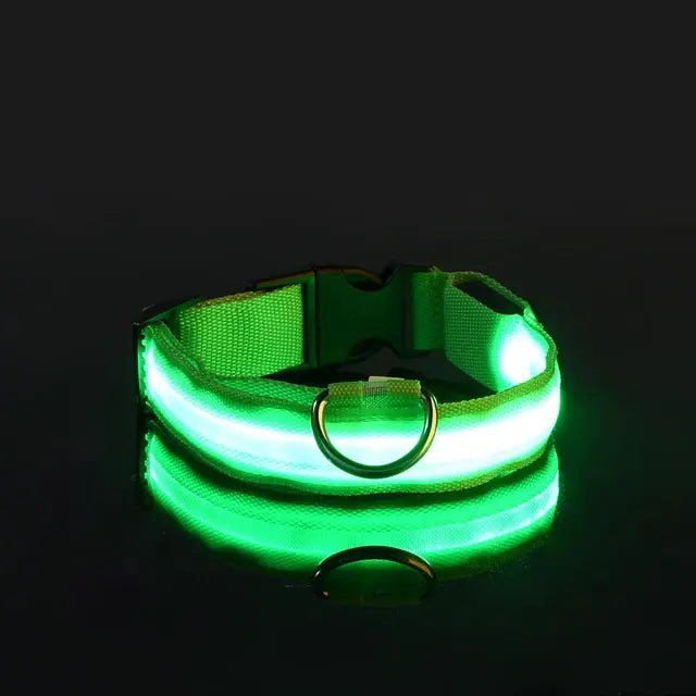 Flashing Glow Pet Collar