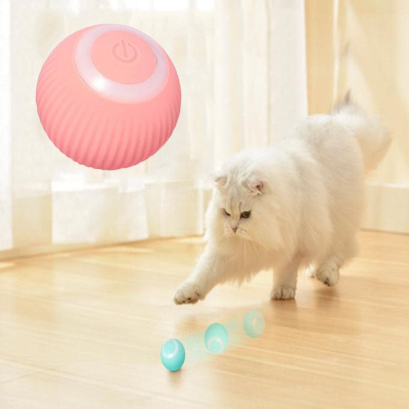 Electric Self Moving Pet Rolling Ball