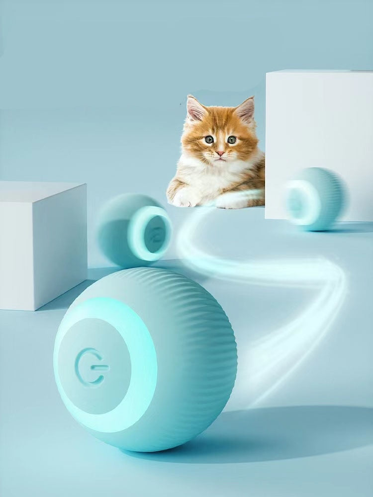 Electric Self Moving Pet Rolling Ball