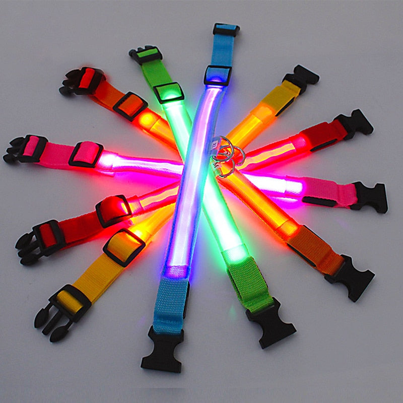 Luminous Dog Collar