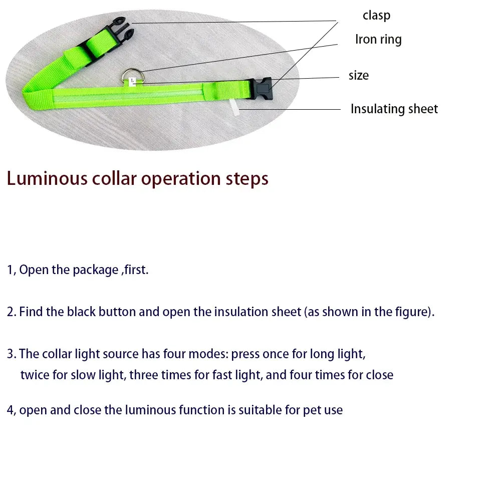 Flashing Glow Pet Collar