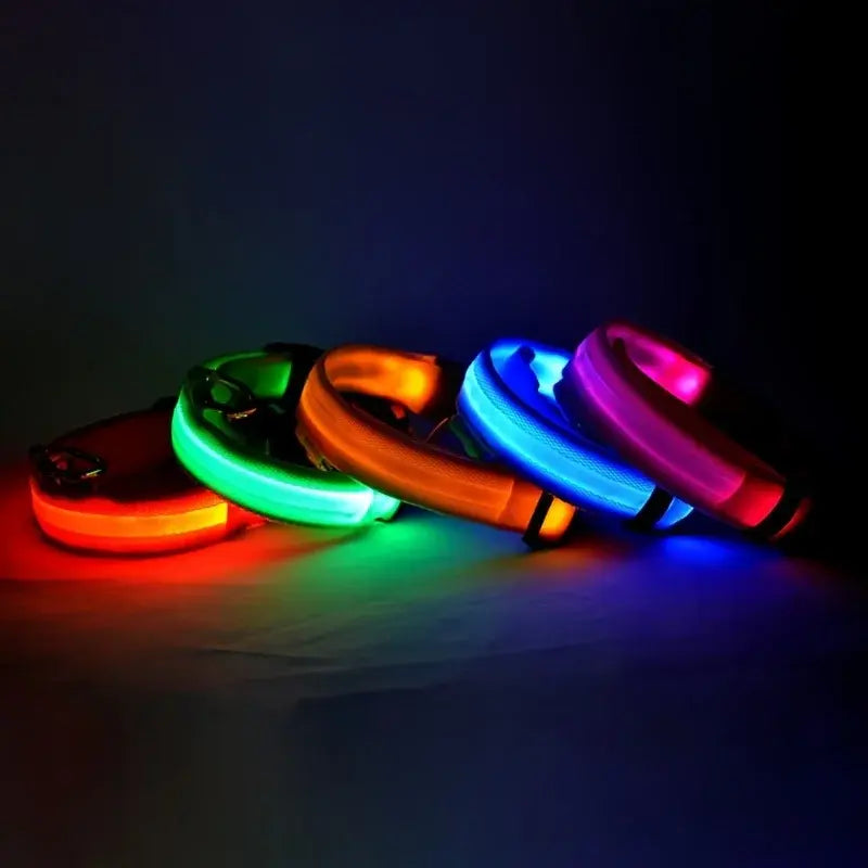 Flashing Glow Pet Collar