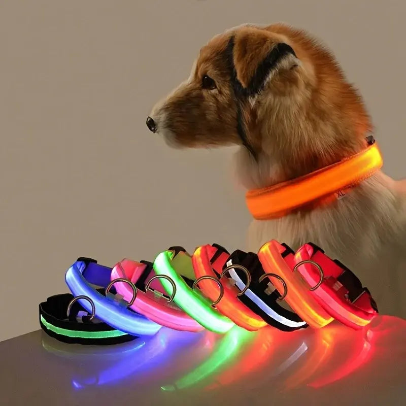 Flashing Glow Pet Collar